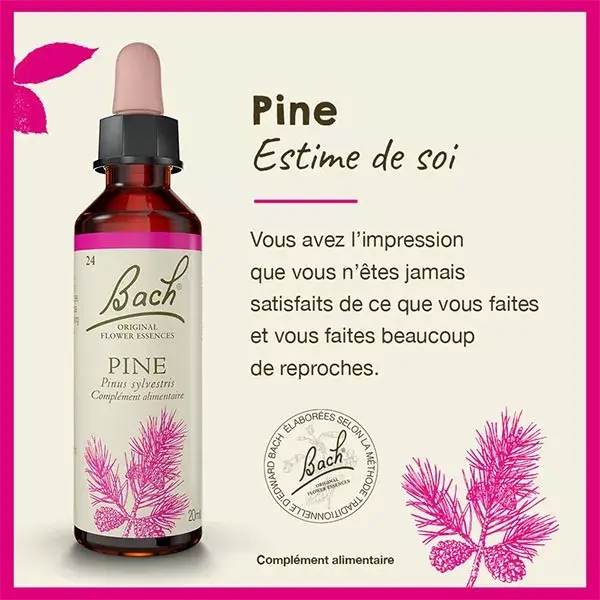 Fleurs de Bach Original - Pine 20ml