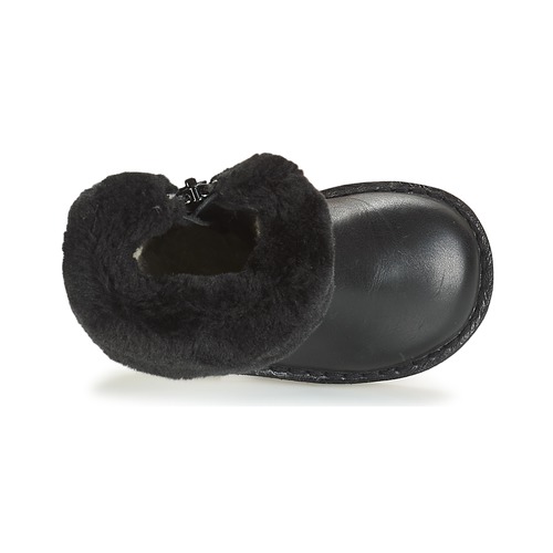 Citrouille et Compagnie - HOSY - Noir