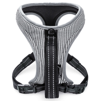 Freezack Sport Mini Soi