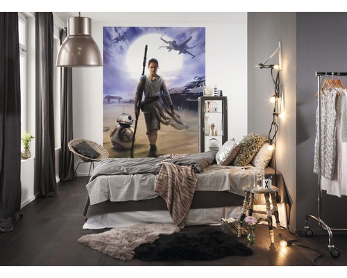 Fotobehangpapier 4-448 Disney Edition 2 Star Wars Rey 4-delige set 184 x 254 cm