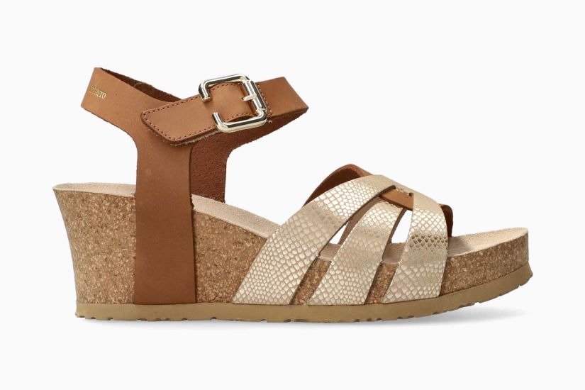 LESLEY CAMEL