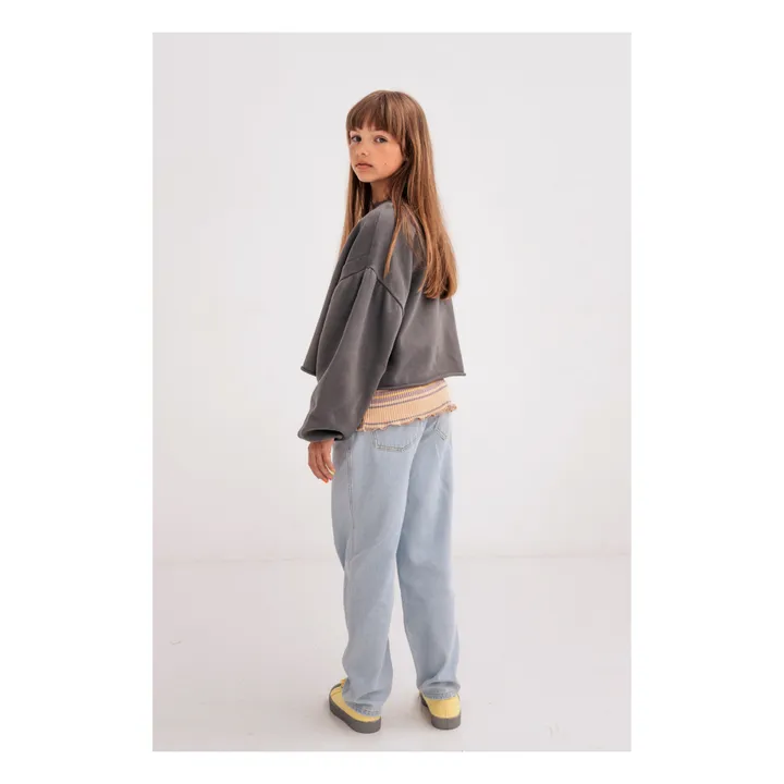 Repose AMS Sweat Coton Bio Crop | Gris anthracite