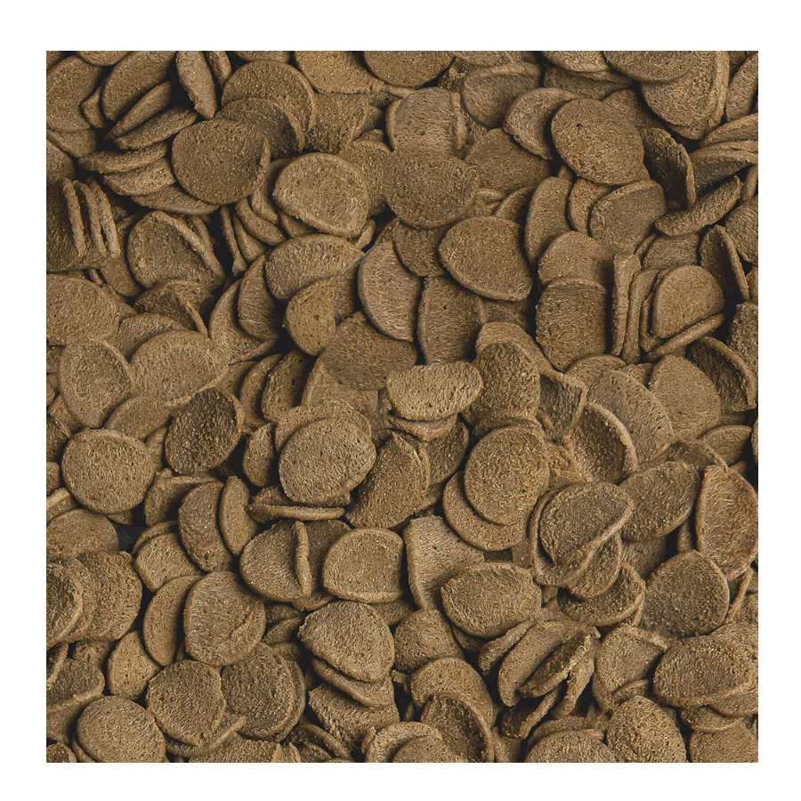 Será que Vipachips Nature, alimento para peixes de fundo, é uma boa opção?