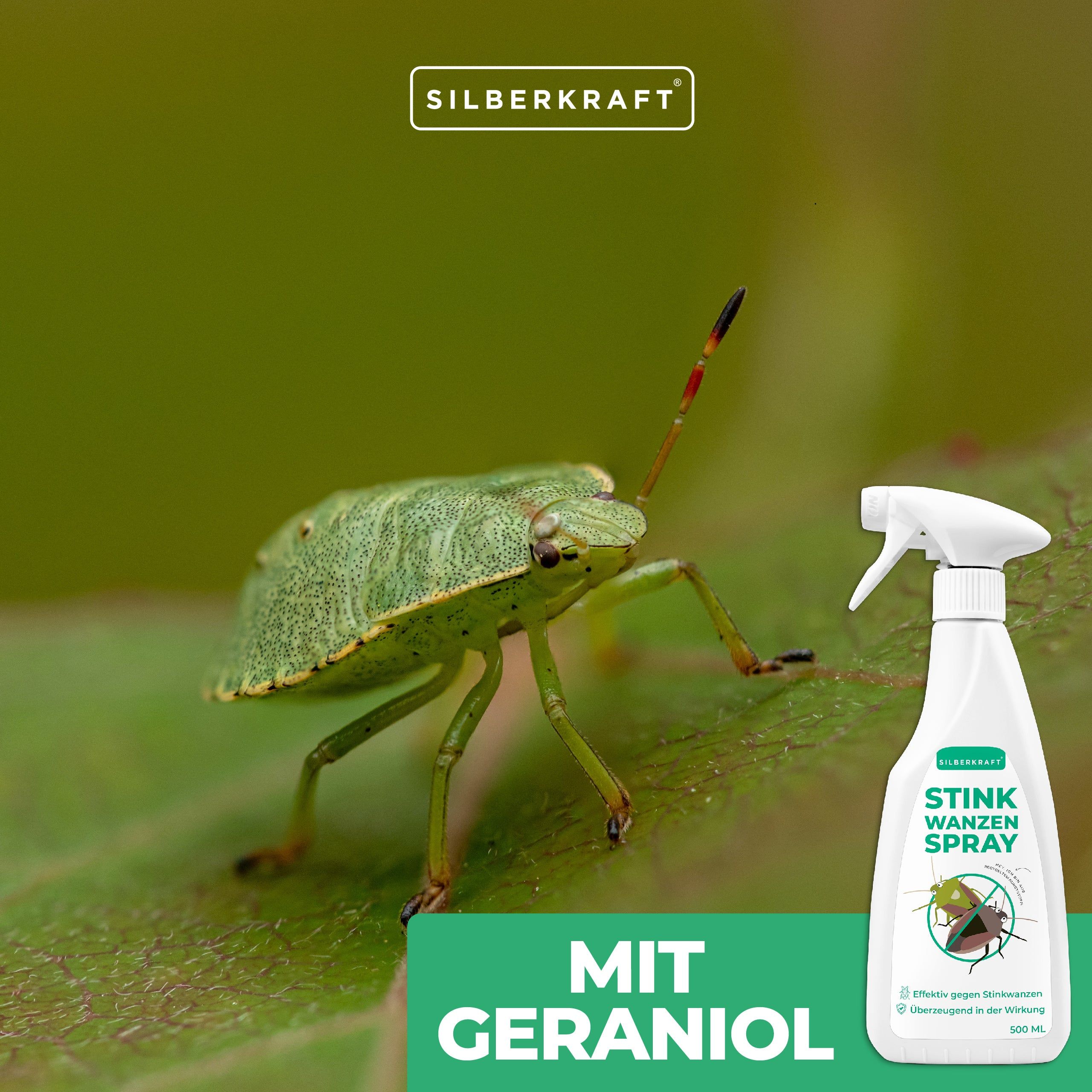 SILBERKRAFT Stinkwanzenspray