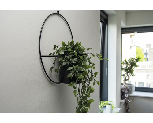 Esschert's Garden wandplanter, 34,7 x 15,5 x 36 cm, ijzer, zwart
