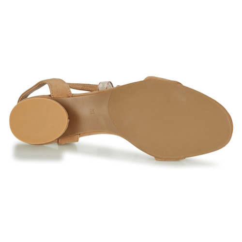 André - PAULENE - Beige