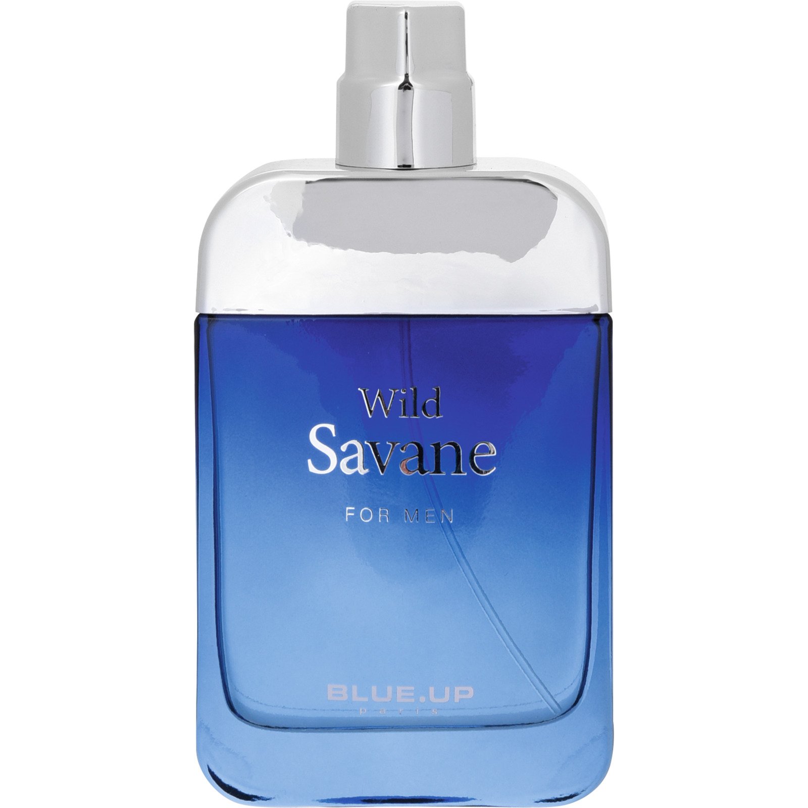 Blue Up Wild Savane Homme Eau de Toilette 100 ml