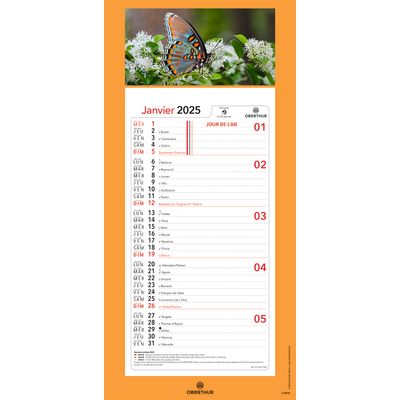 Calendrier mensuel en papier sur plaque illustrée - 16 x 33 cm - différents modèles disponibles - Oberthur