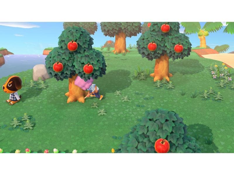 Nintendo Animal Crossing: New Horizons Animal Crossing: New Horizons