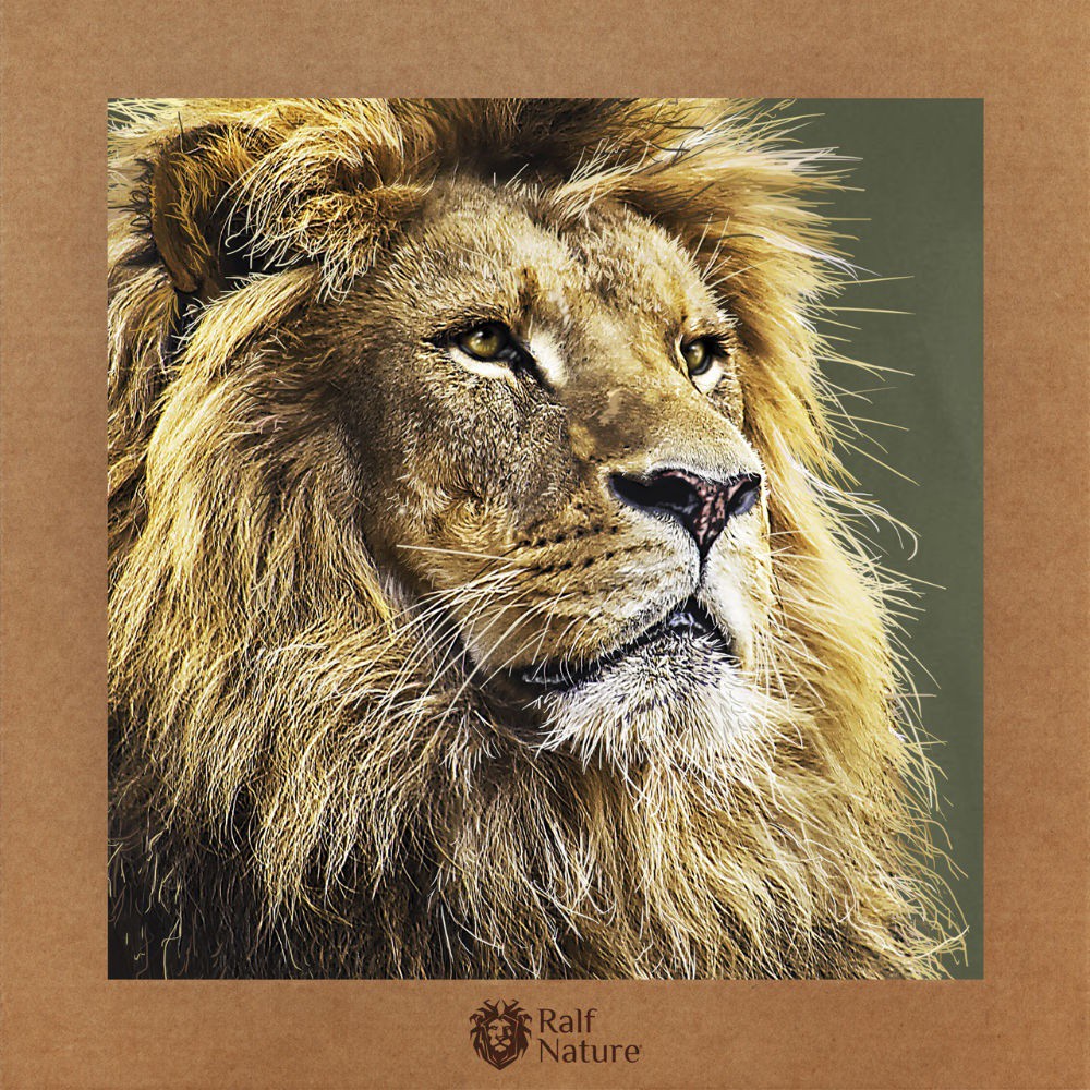 Camiseta Lion, verde