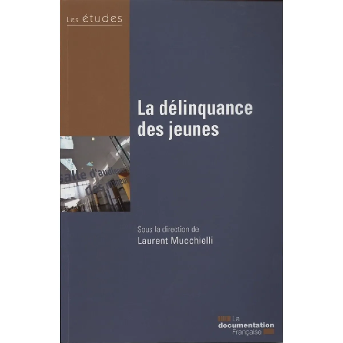 La délinquance des jeunes · Occasion