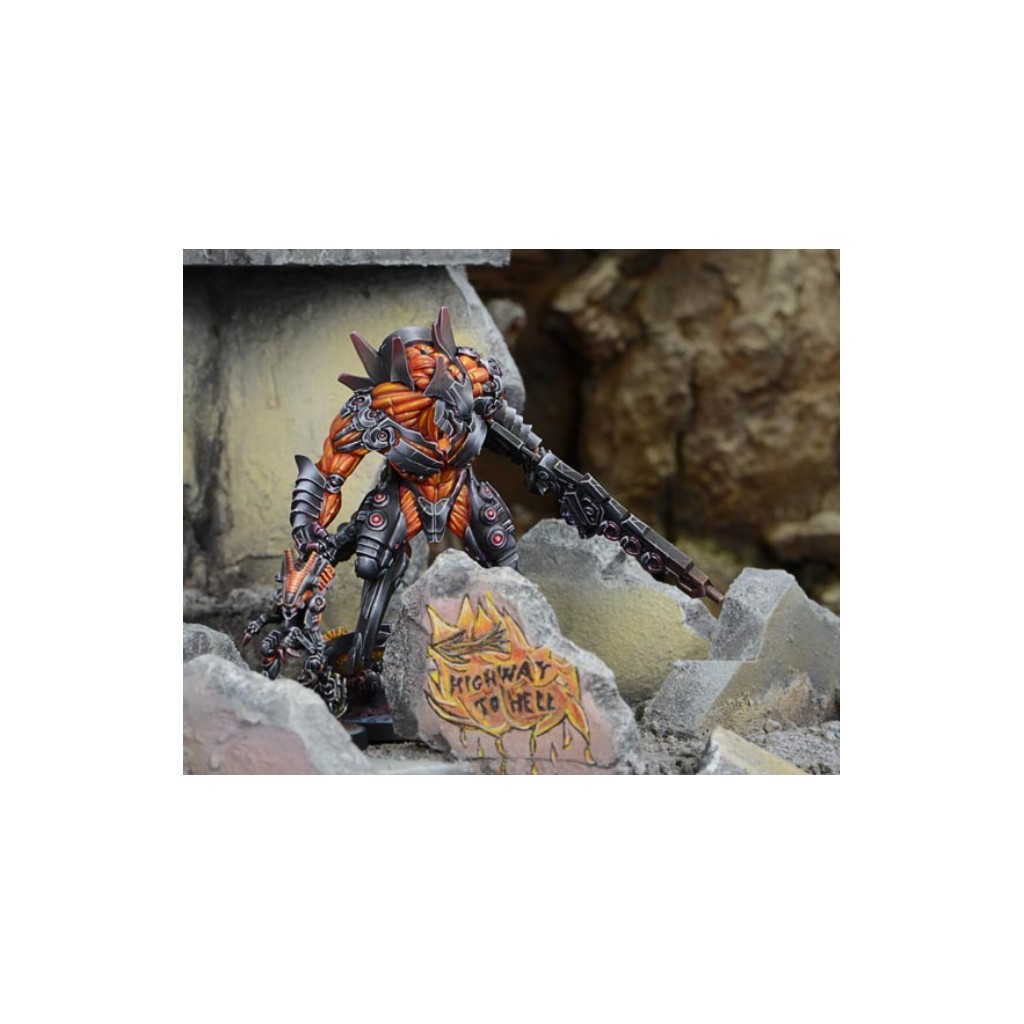 Infinity - Combined Army - Avatar