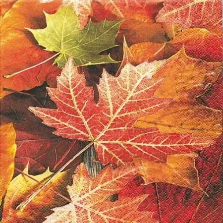 Paper+Design Servietten Herbst, 20 Stück