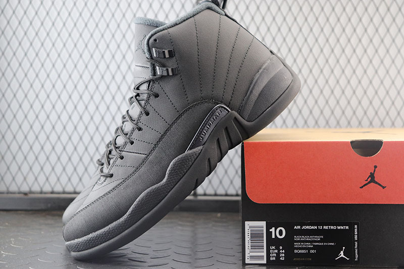 Air Jordan 12 Winterized