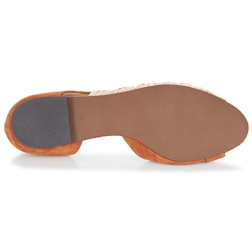 André - PIPA - Camel