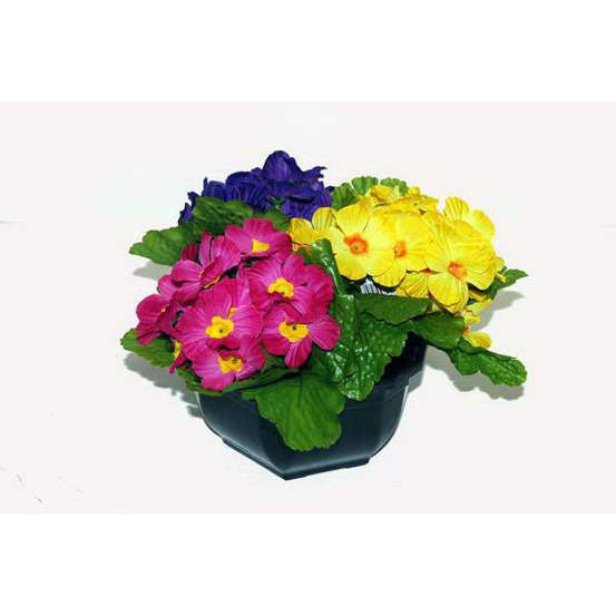 Coupe de primeveres en couleurs assorties, H20CM - L24Cm, 2,5Kg