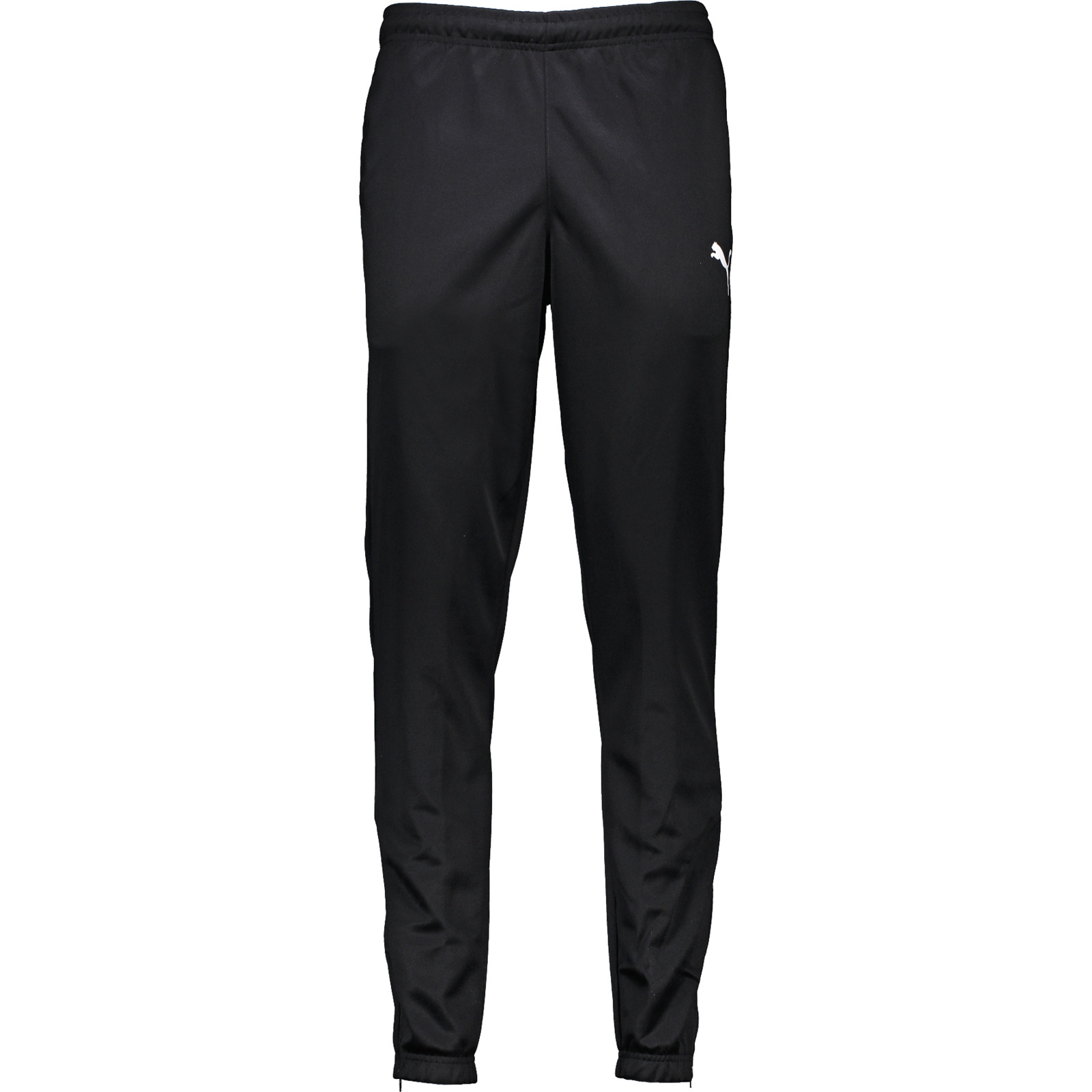 Puma Herren-Hose team Rise Poly S, schwarz