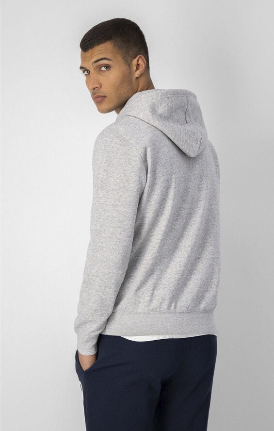 Champion Full-Zip Script Logo Fleece hættetrøje Grå