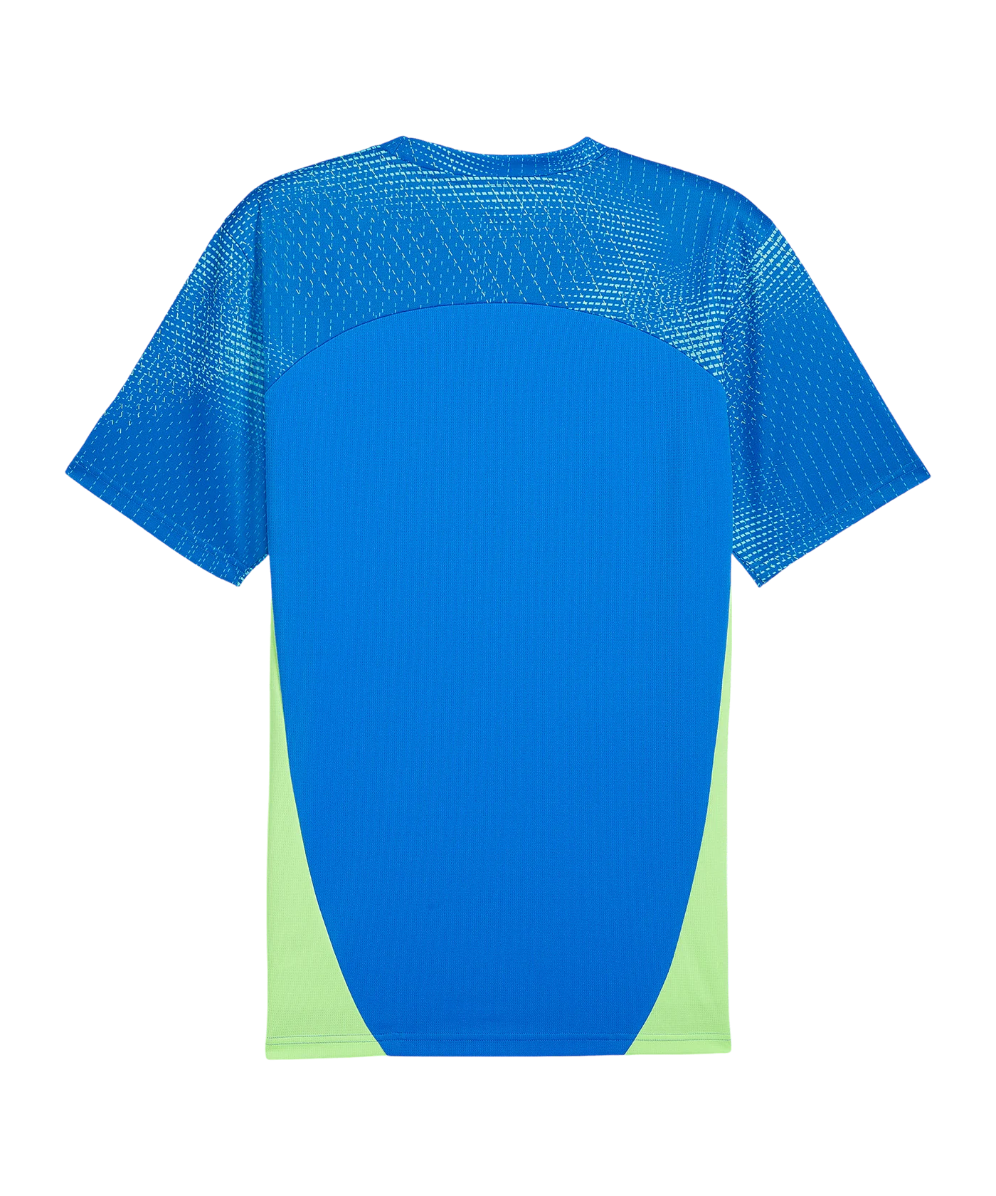 PUMA individualFINAL Trikot Blau F02