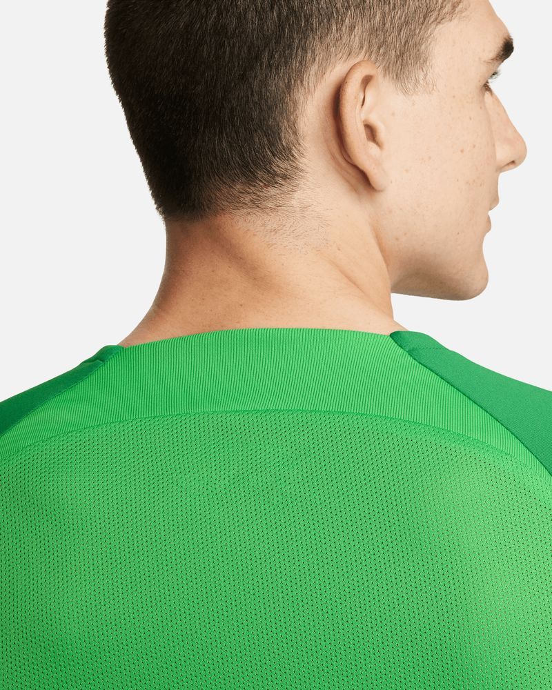 Maillot Nike Academy Pro Vert pour homme