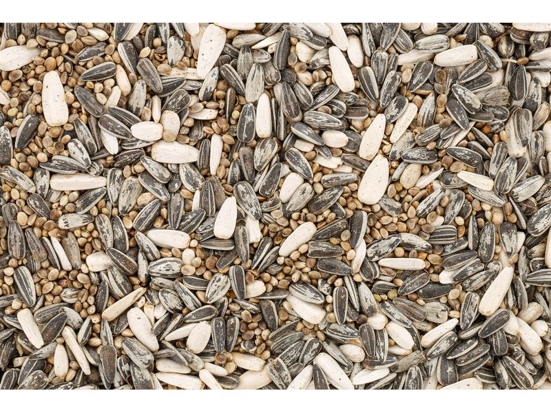 Eric Schweizer Vogelfutter Wildvogelmischung Premium 1 kg Mischung mit köstliche Sonnenblumenkerne und Hanfsamen