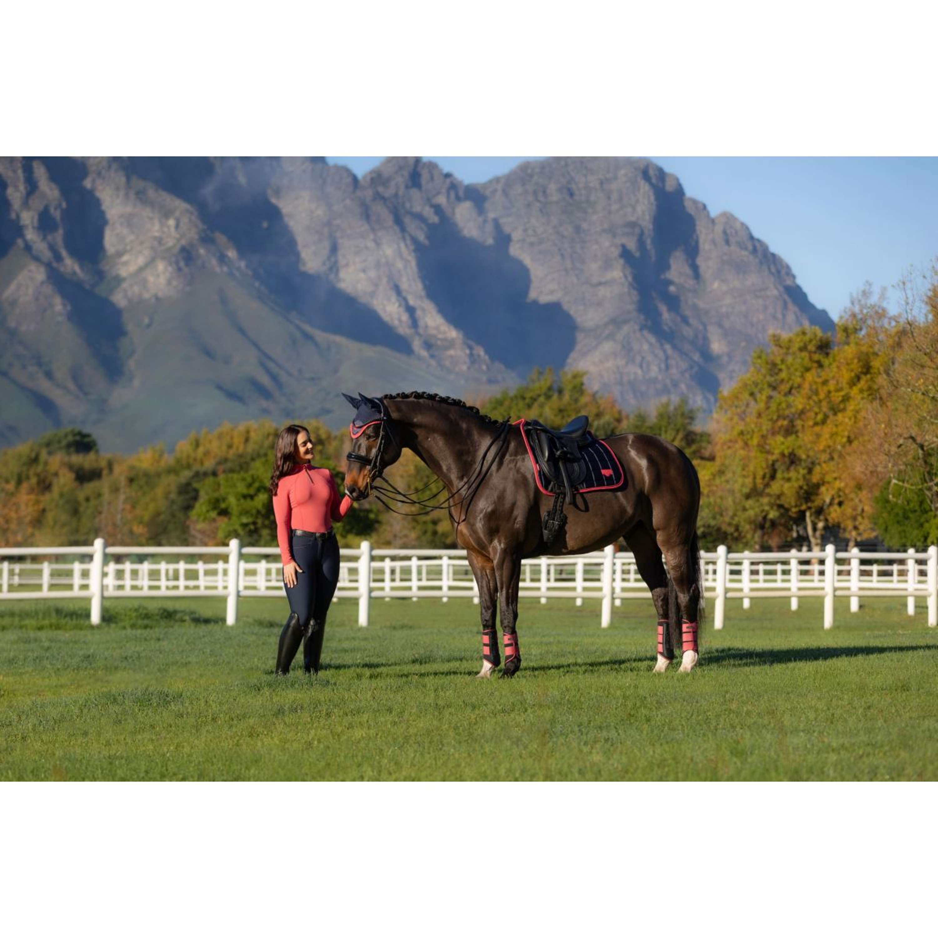 LeMieux Zadeldekje Loire Classic Dressuur Navy/Cranberry