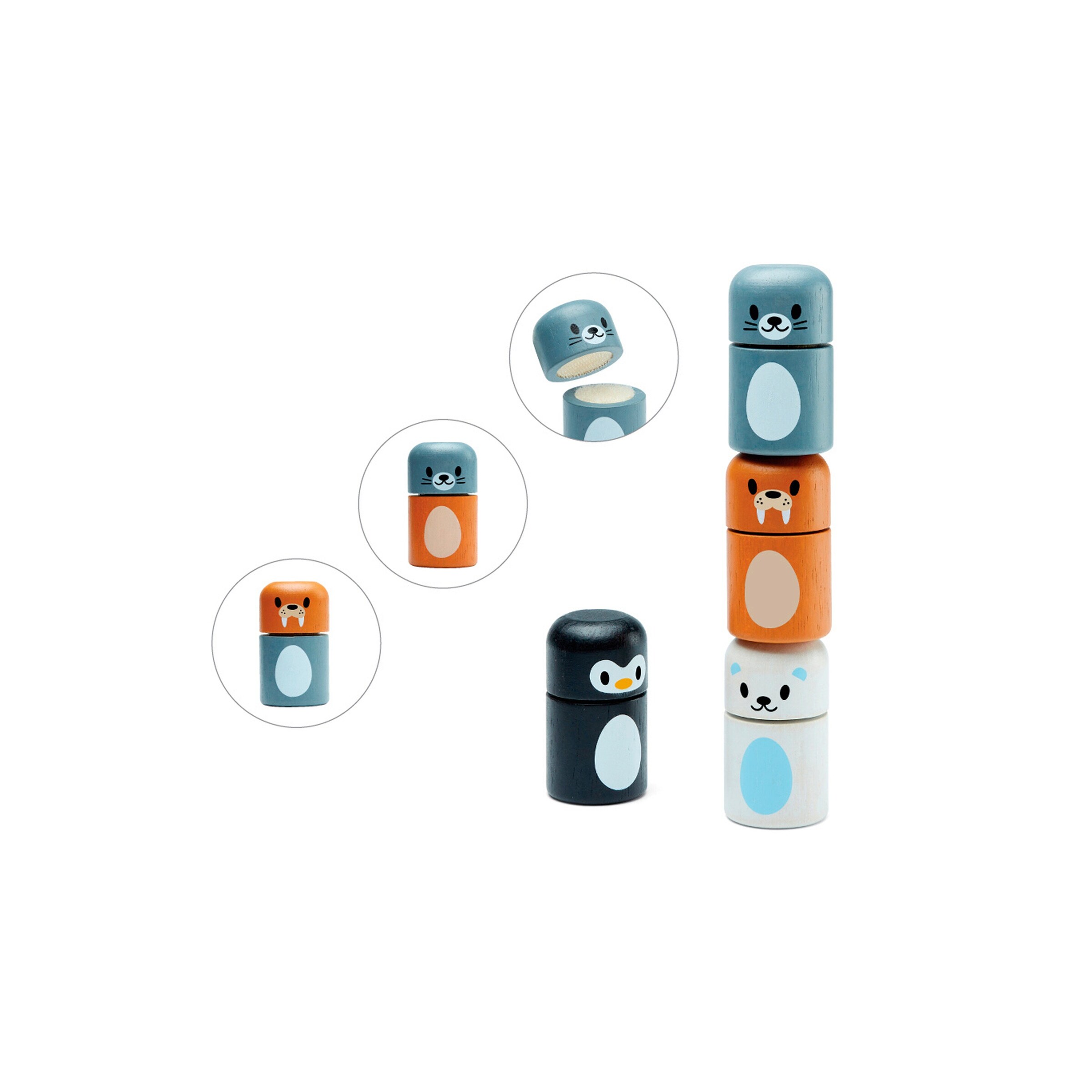 PlanToys Polartiere sortieren