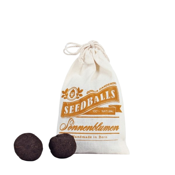 Seedballs Sonnenblumen