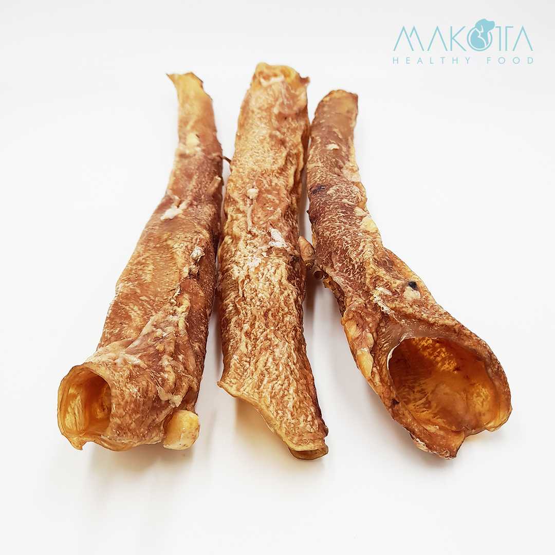 Aorta bovina (1 unidade)