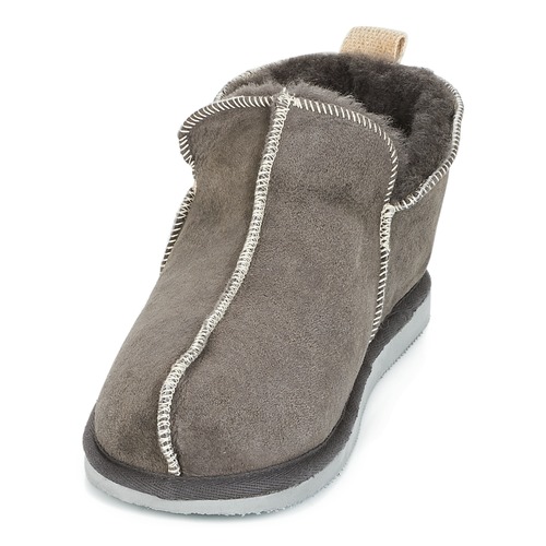 Shepherd - ANDY - Gris