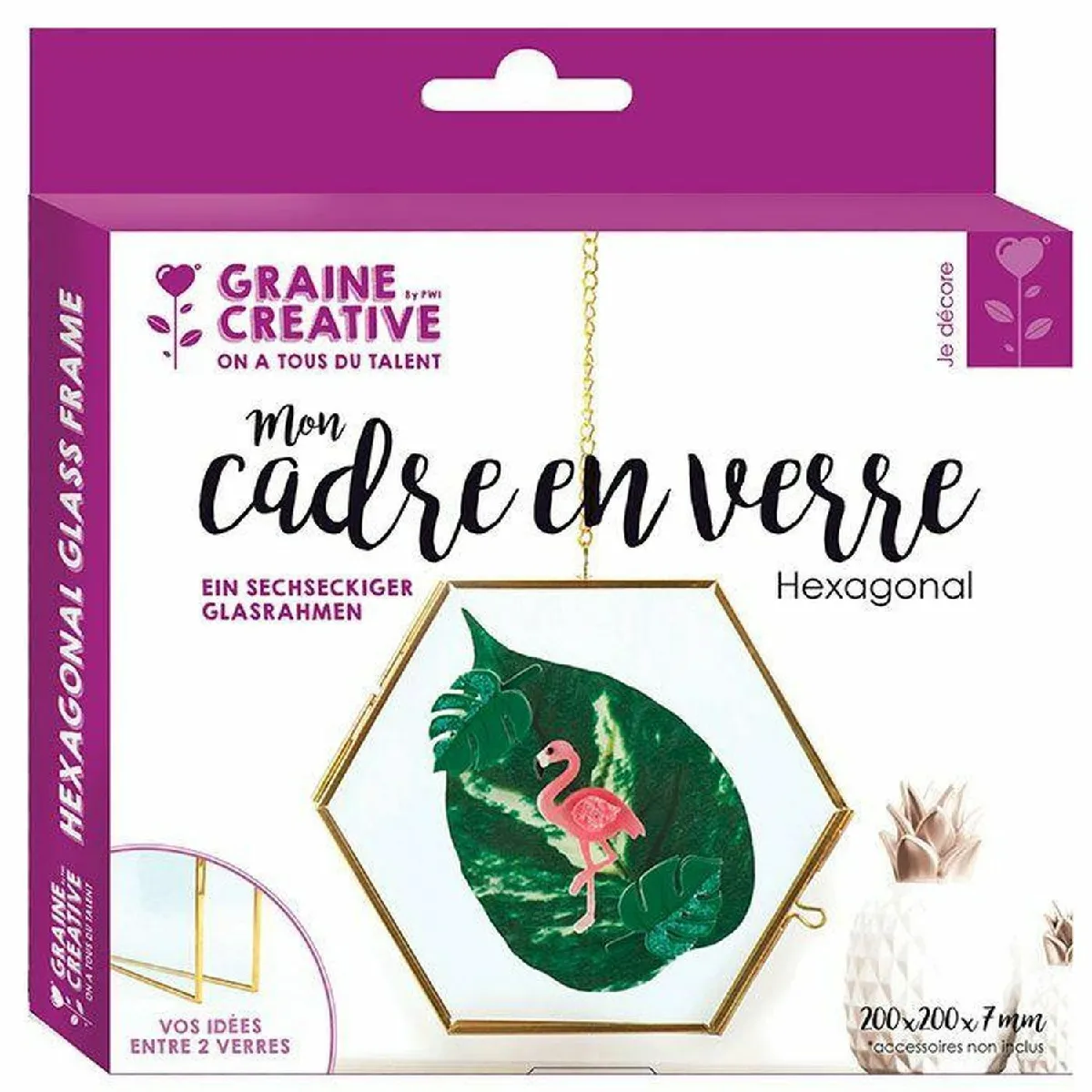 Graines Créatives Cadres Verre - Hexagone