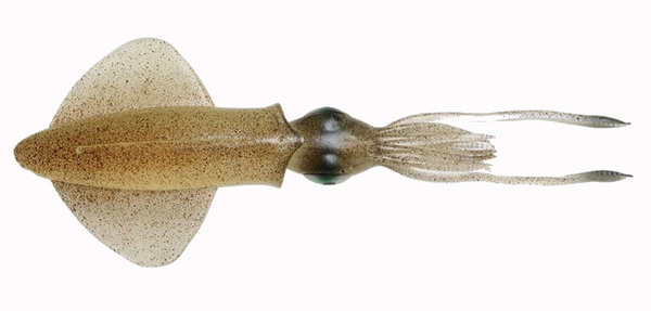 Savage Gear 3D Swim Squid Sinking Softbait 9.5cm (5g) (4 Stuks)