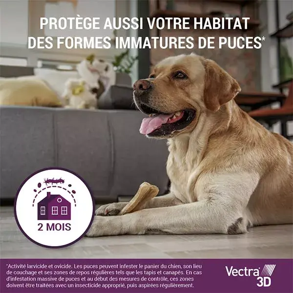 Vectra® 3D solução spot-on para cães com peso superior a 25–40 kg, 12 pipetas.