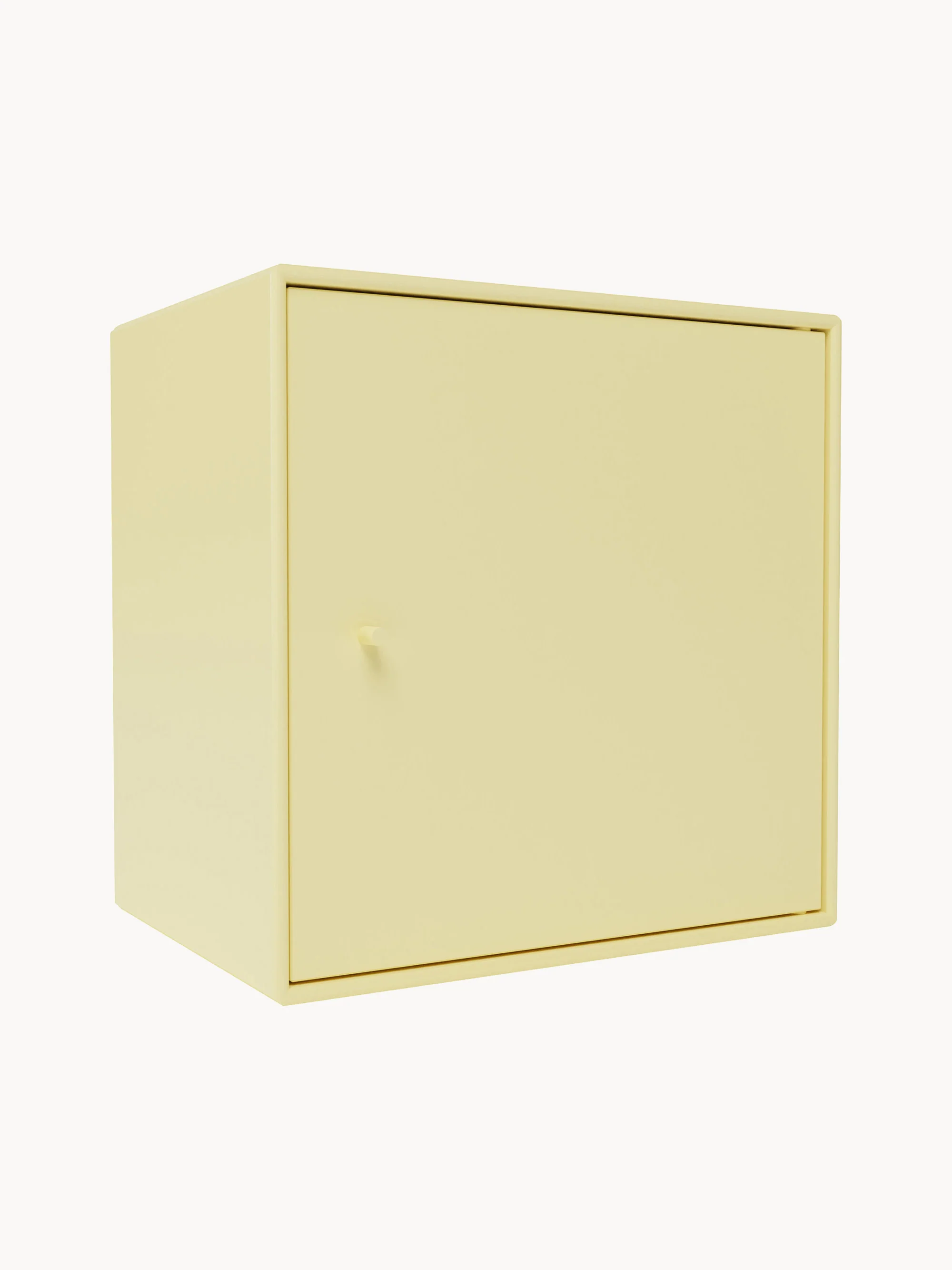 Module Mini 1003