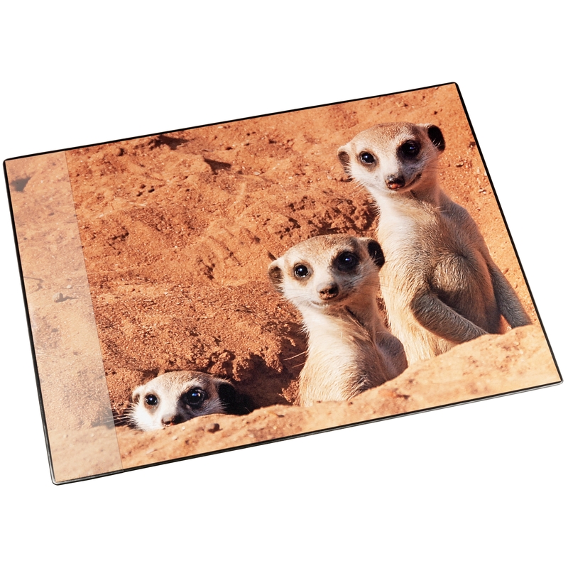 Läufer Schreibunterlage, Erdmännchen