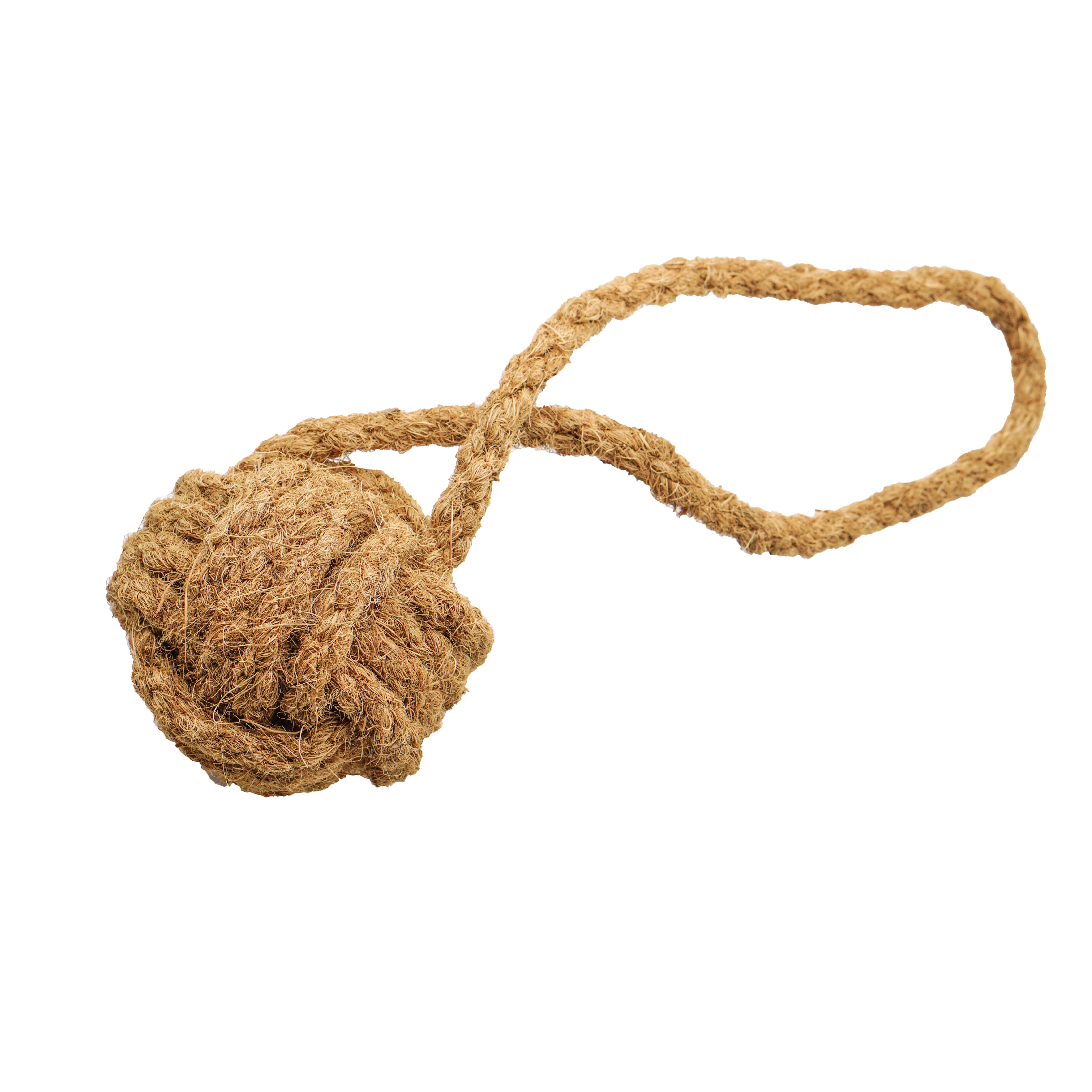 mascota casa - Coco Ball