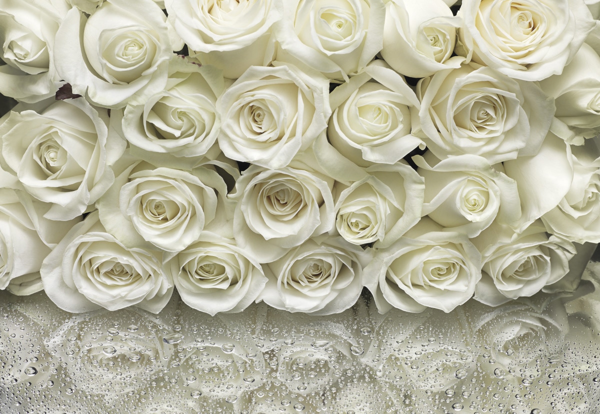 Komar Fototapete »A la Rose - Grösse 368 x 254 cm« bedruckt glatt Wohnzimmer, Schlafzimmer