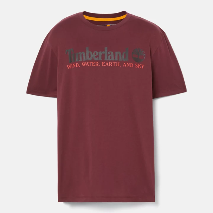Camiseta masculina 