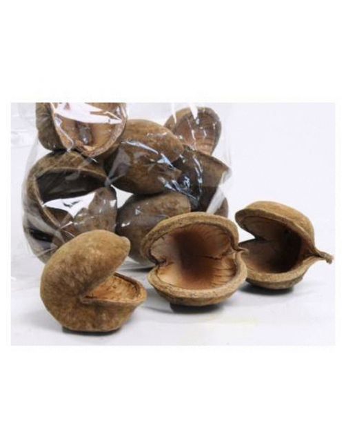 Back Zoo Nature Boeddha Noot - Natuurlijk Speelgoed - ca. 10-12 cm Xl