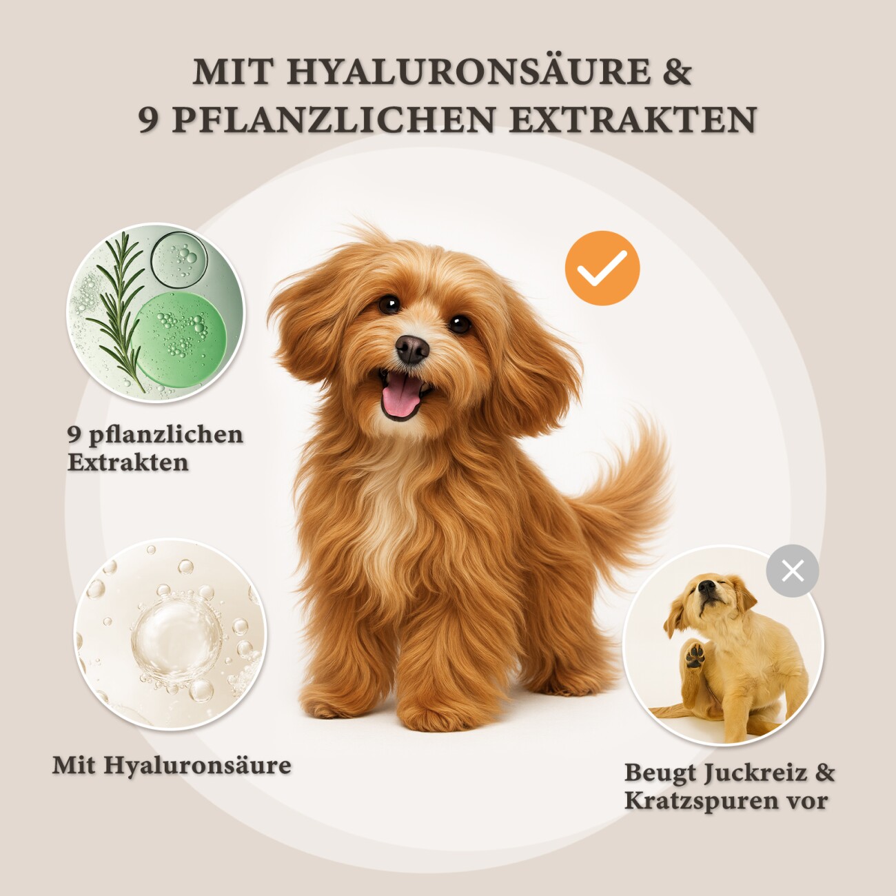 Pawz Road THE ANIMAL ORGANICS – Ohrenreiniger Hund – Natürlich & Sanft