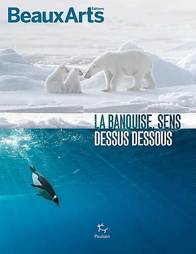 LA BANQUISE SENS DESSUS DESSOUS