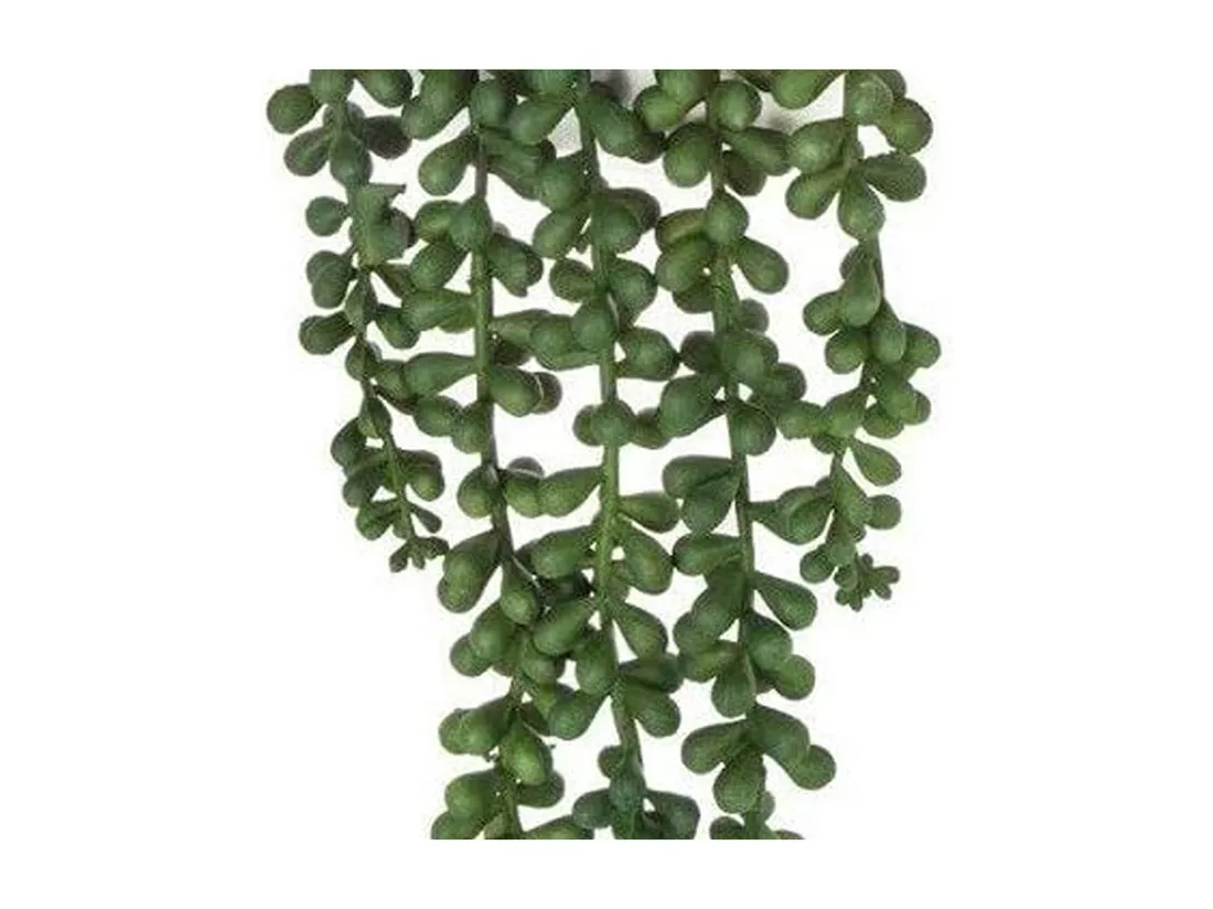 WELL HOME - Plante murale contemporaine