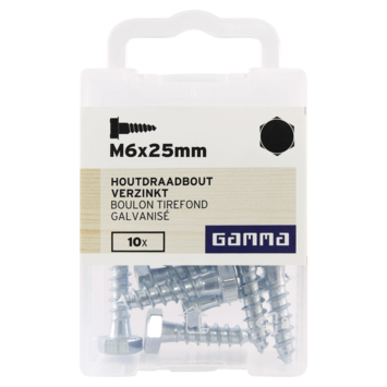 GAMMA houtdraadbout M6 x 25 mm verzinkt 10 stuks
