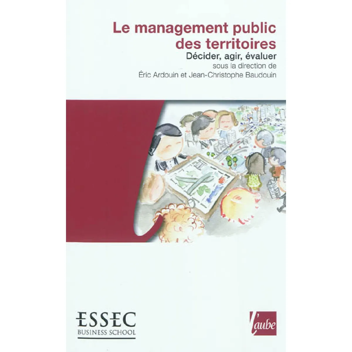 Le management public des territoires : décider, agir, évaluer · Occasion