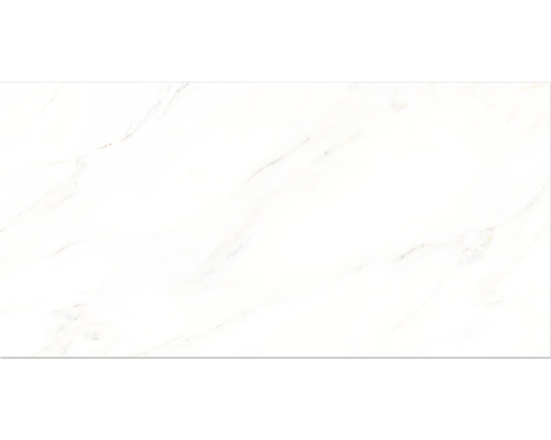 Porseleinen wand- en vloertegel Premium Calacatta wit 60 x 120 x 0,9 cm glanzend gerectificeerd