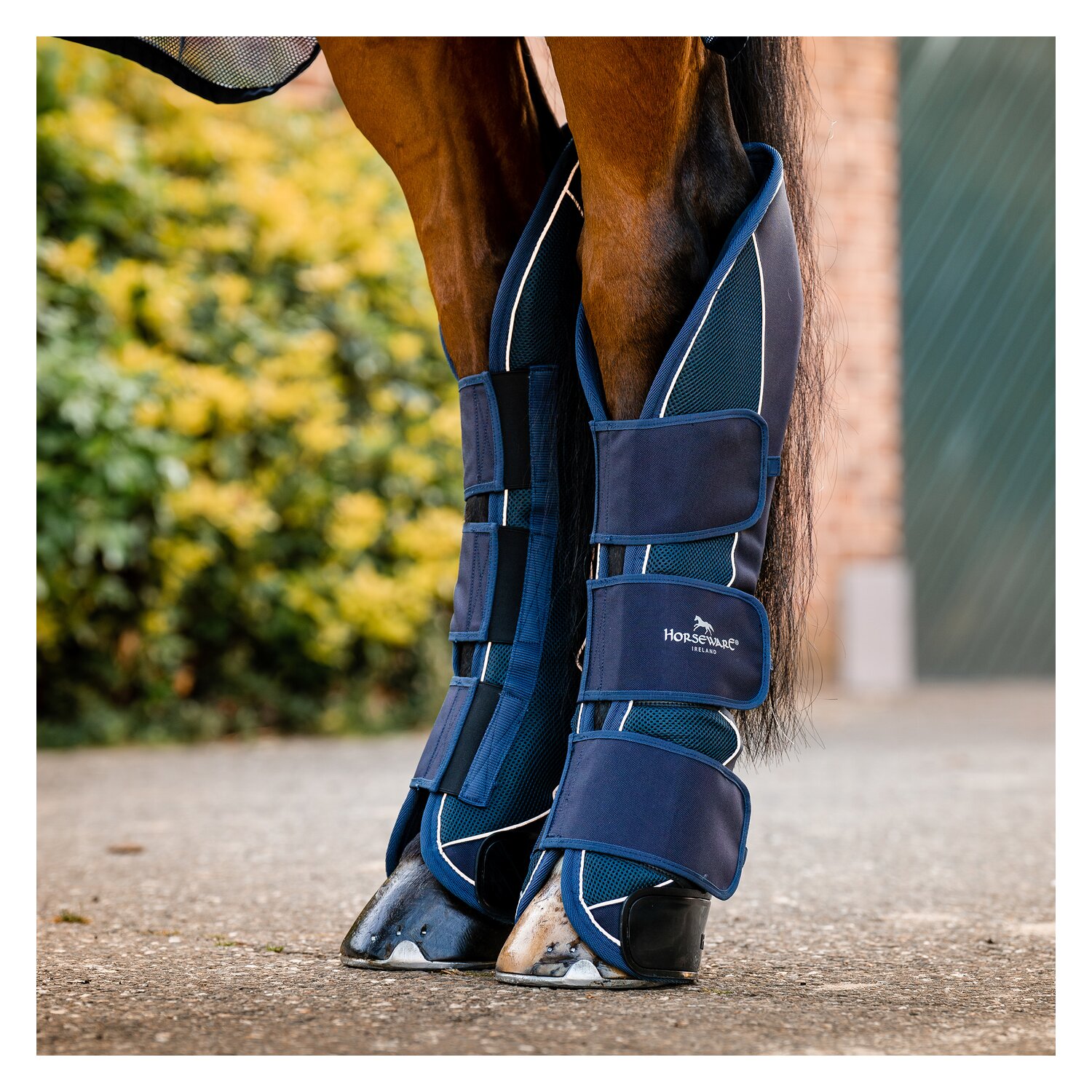 HORSEWARE Signature Transportgamaschen  - navy
