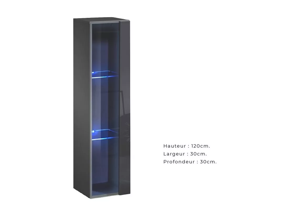 Vitrine suspendue – Gris – Collection SWITCH – Porte vitrée et LED inclus – Petit modèle