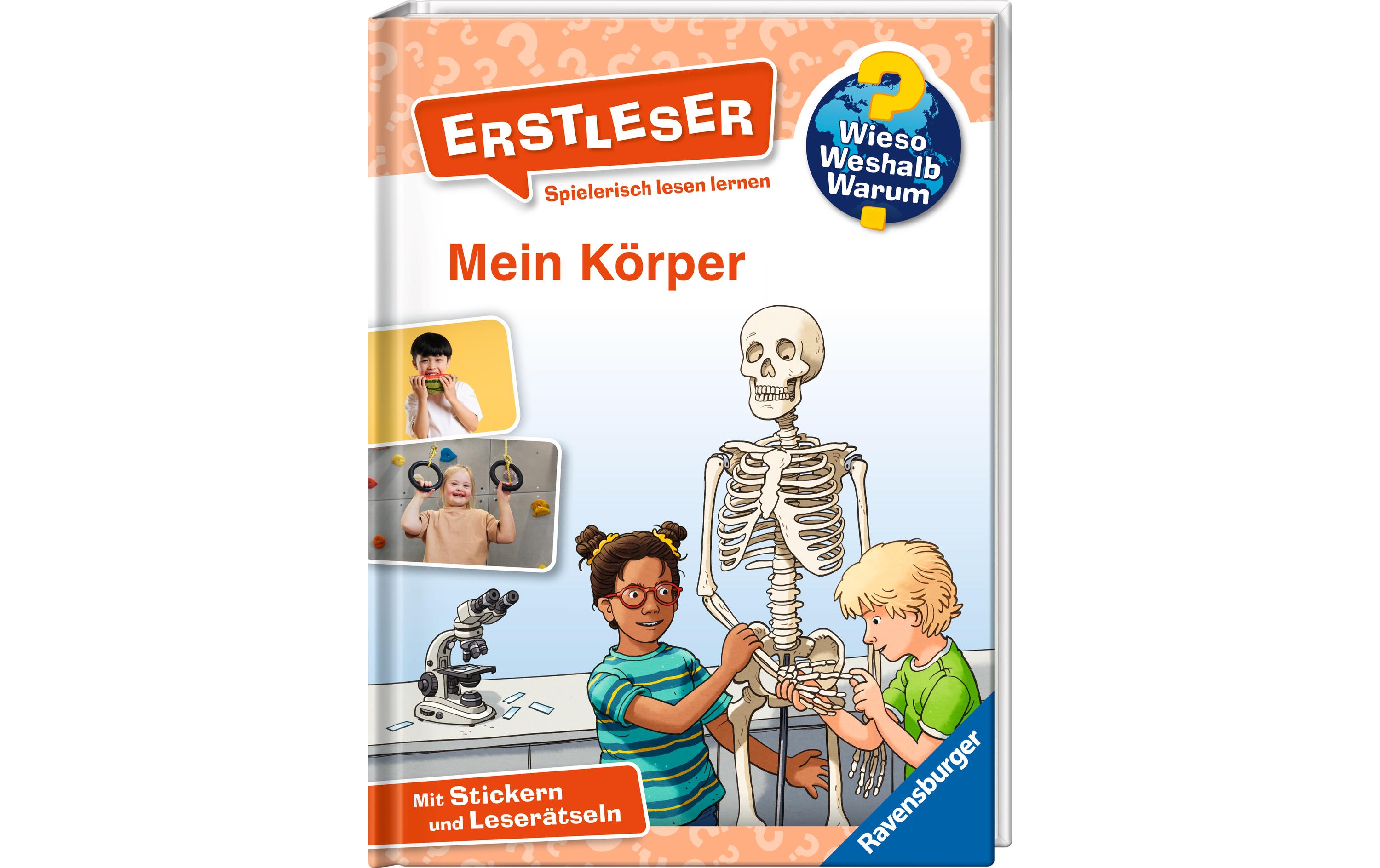 Kinder-Sachbuch WWW Erstleser: Mein KörperKlappbuch