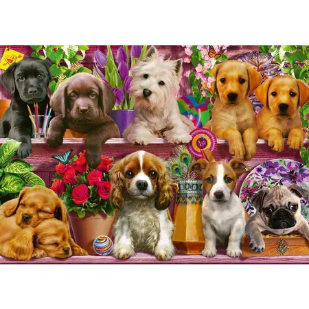 Schmidt Spiele Puzzle - Hunde im Regal, 500 Teile
