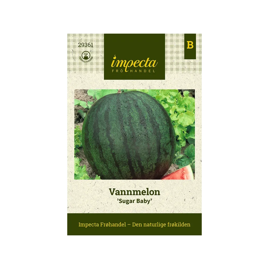 Citrullus lanatus 'Sugar Baby' Vannmelon 'Sugar Baby'